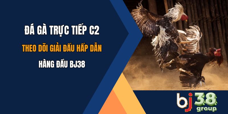 Đá gà trực tiếp C2