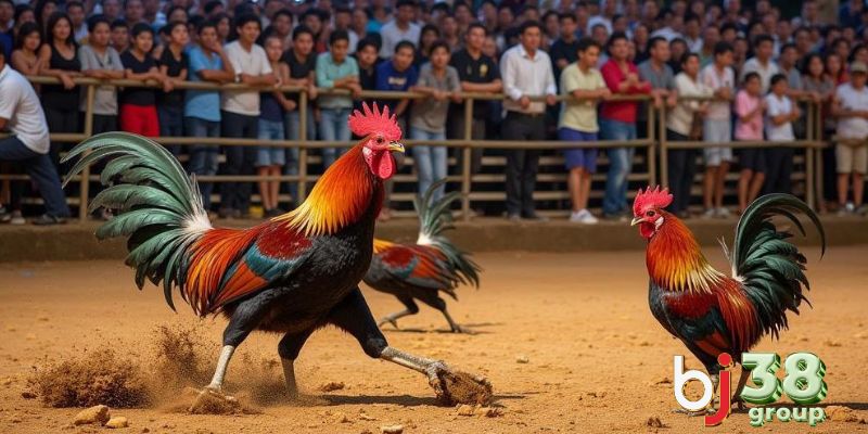 Dagatructiep C3 bảo đảm sự an toàn, tiện lợi & minh bạch cho người chơi
