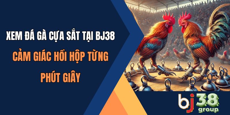 Xem đá gà cựa sắt